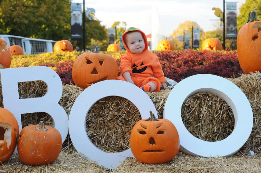 Brookfield Zoo Hosts Boo! at the Zoo Halloween Celebration