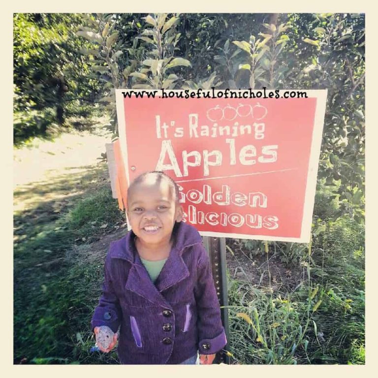 My Ladybug Is Four | County Line Apple Orchard