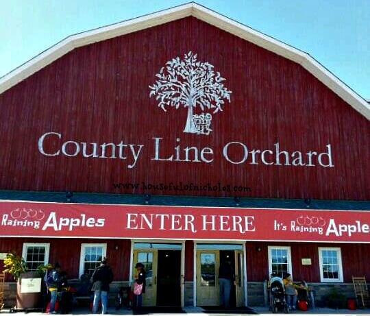 County Line Apple Orchard