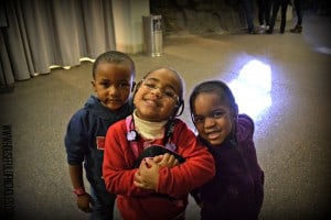 Shedd Aquarium Visit