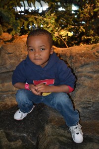 Shedd Aquarium Visit