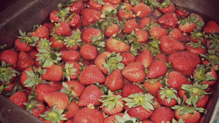 Strawberry Rhubarb Preserves