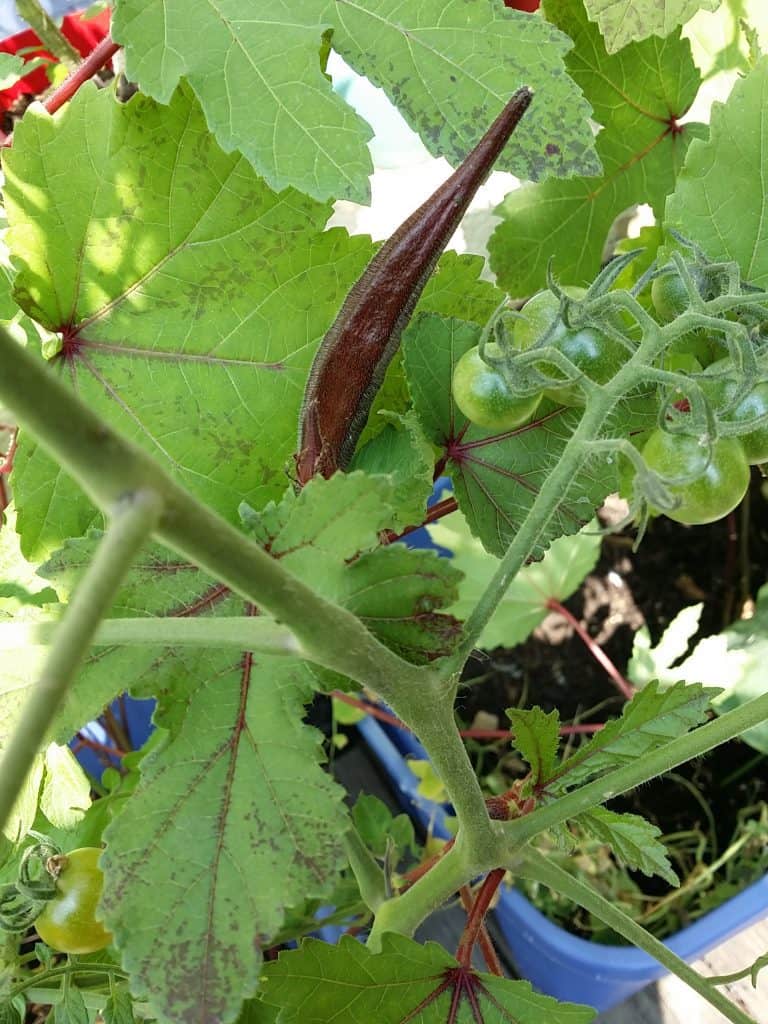 2014-07-29 10.35.25