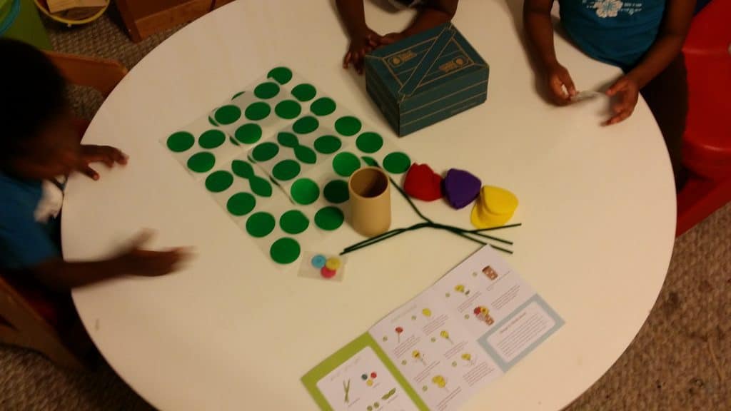 Kiwi-Crate-Subscription-Box 