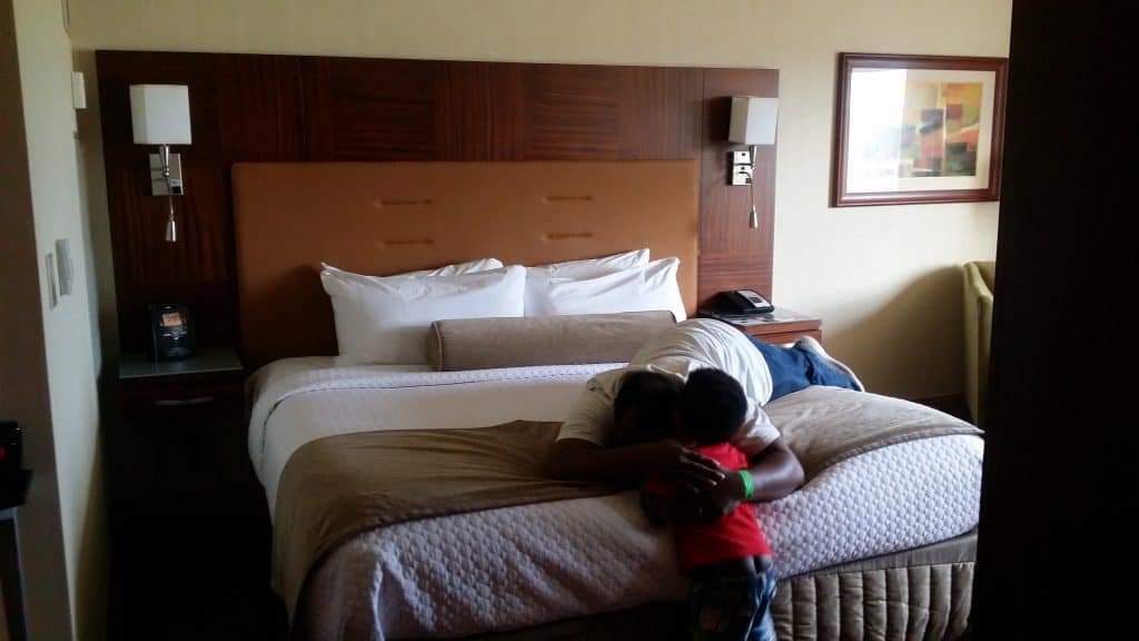 Crown Point Plaza Milwaukee West King Room
