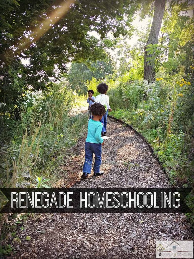 Become a Renegade Homeschooler and take homeschooling OUTSIDE of the home! 