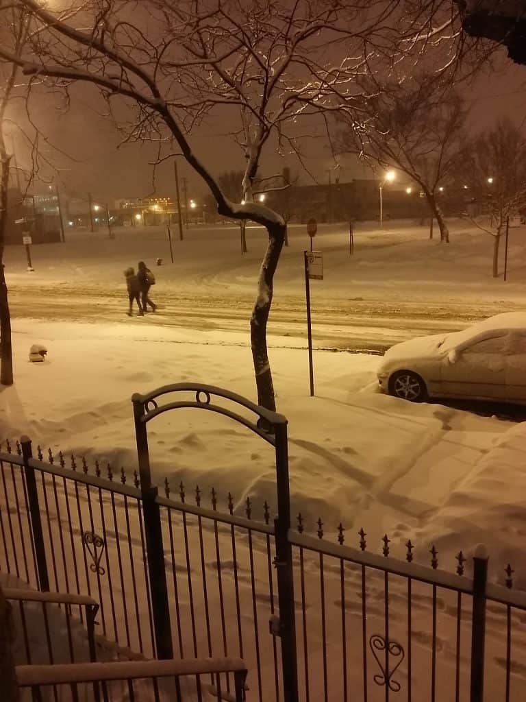 Snow in the City 