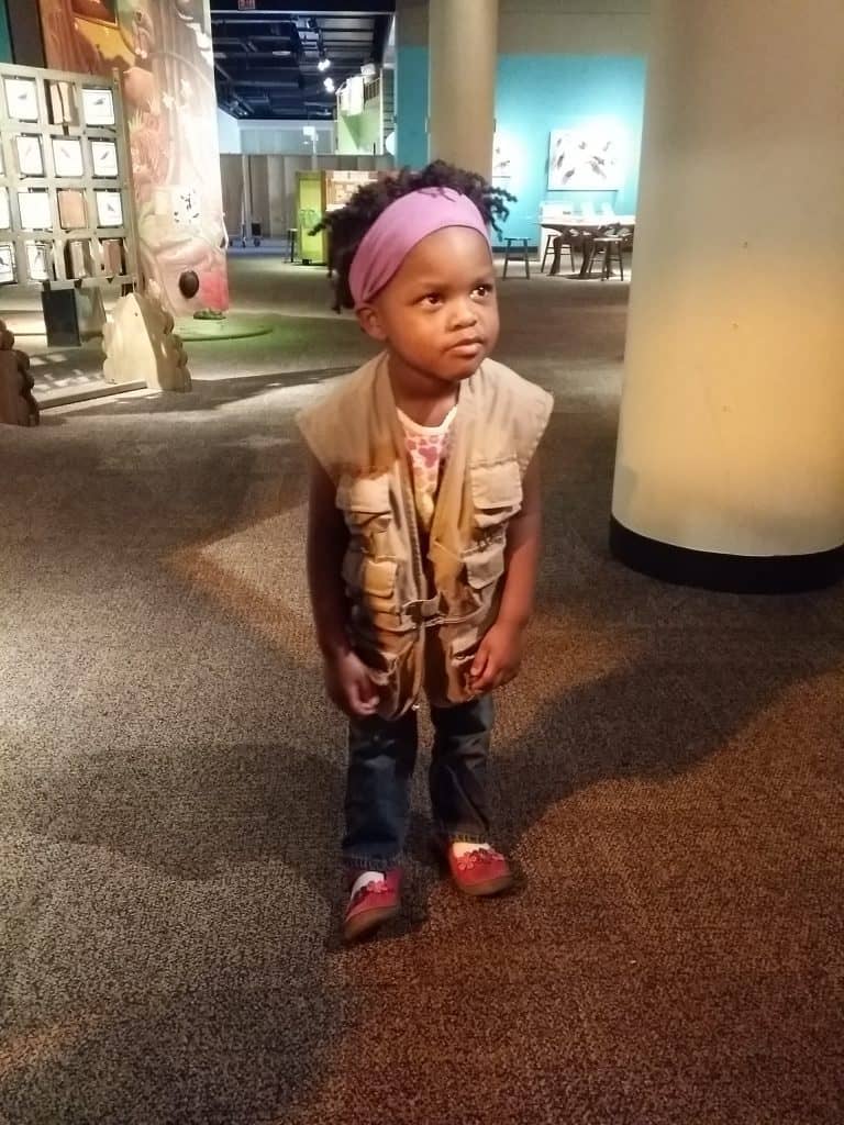 Rainforest Adventures - Peggy Notebaert Nature Museum