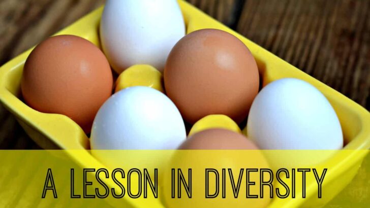 Teaching Diversity for Martin Luther King Jr. Day
