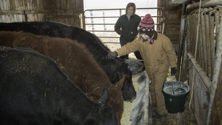 Farmers Don’t Stop Farming In the Winter
