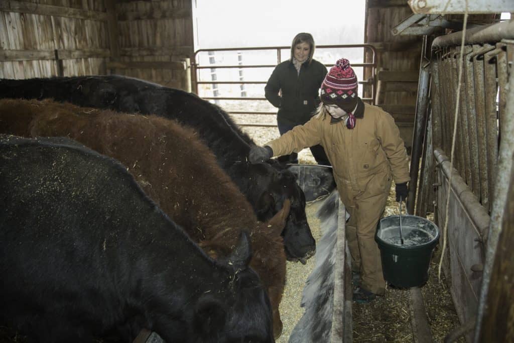 Farming in the Winter