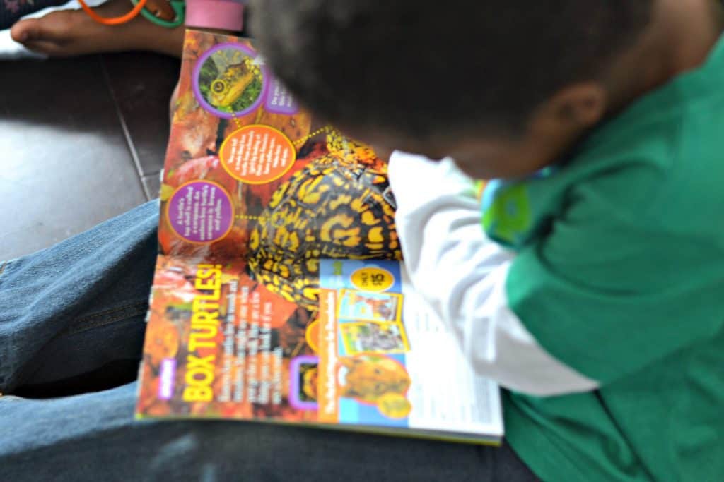 National Geographic Little Kids Magazine 