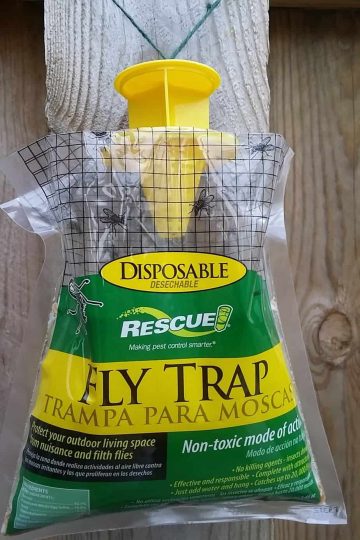 Disposable Fly Traps