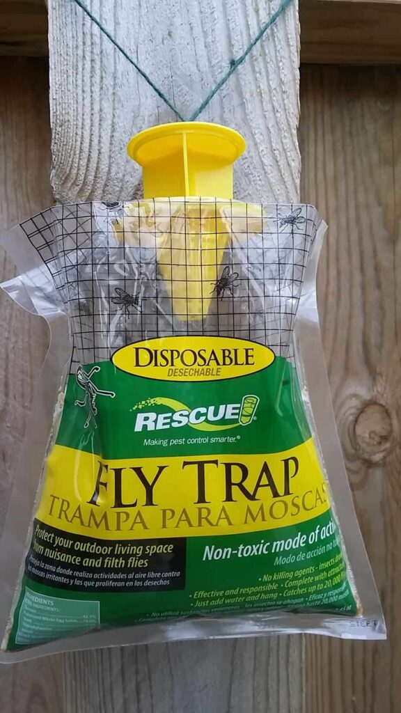 Disposable Fly Trap