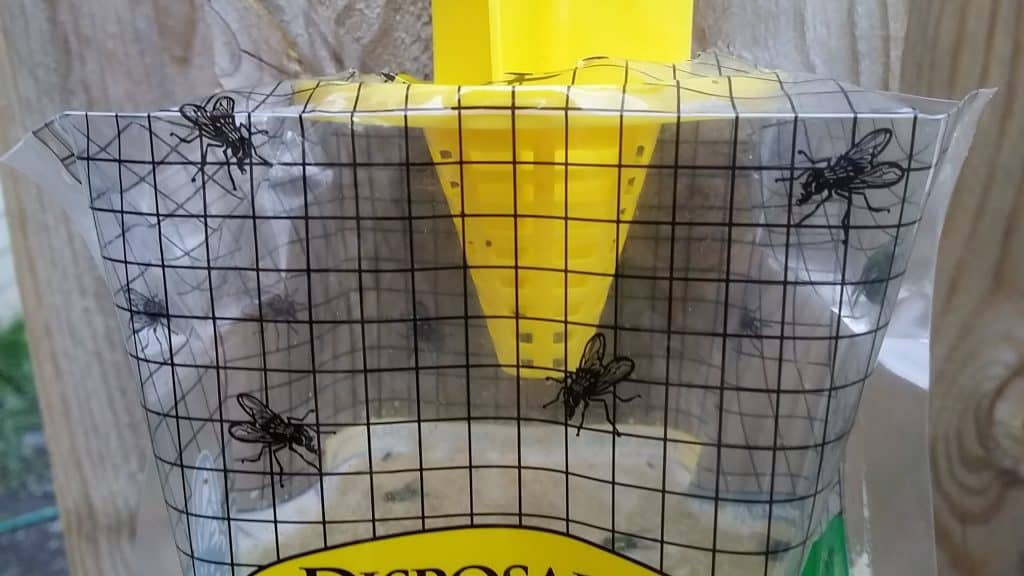 The water filled disposable fly trap is easy to use. 