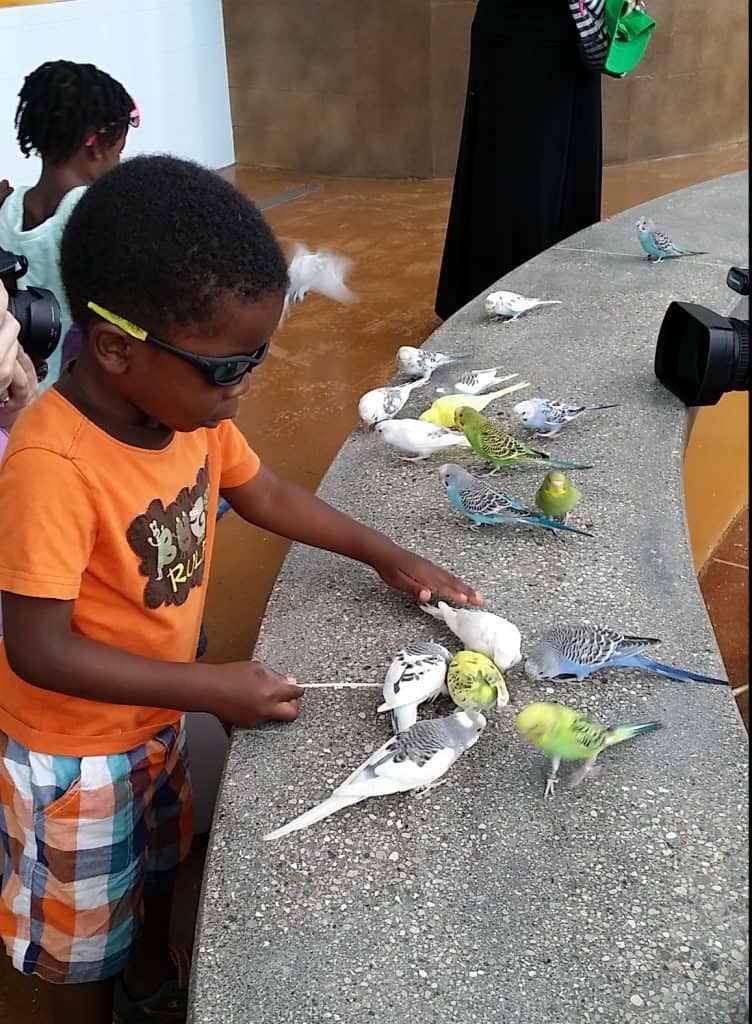 Hamil Wild Encounters Aviary