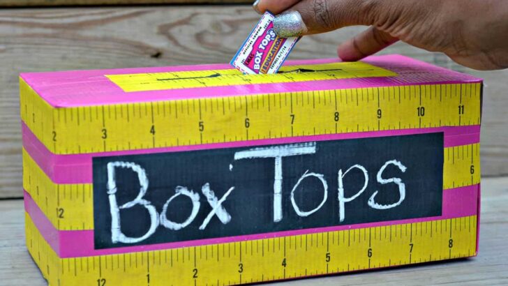 DIY Box Tops Collection Bin