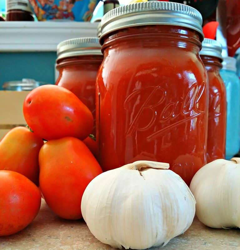 Homemade Pasta Sauce