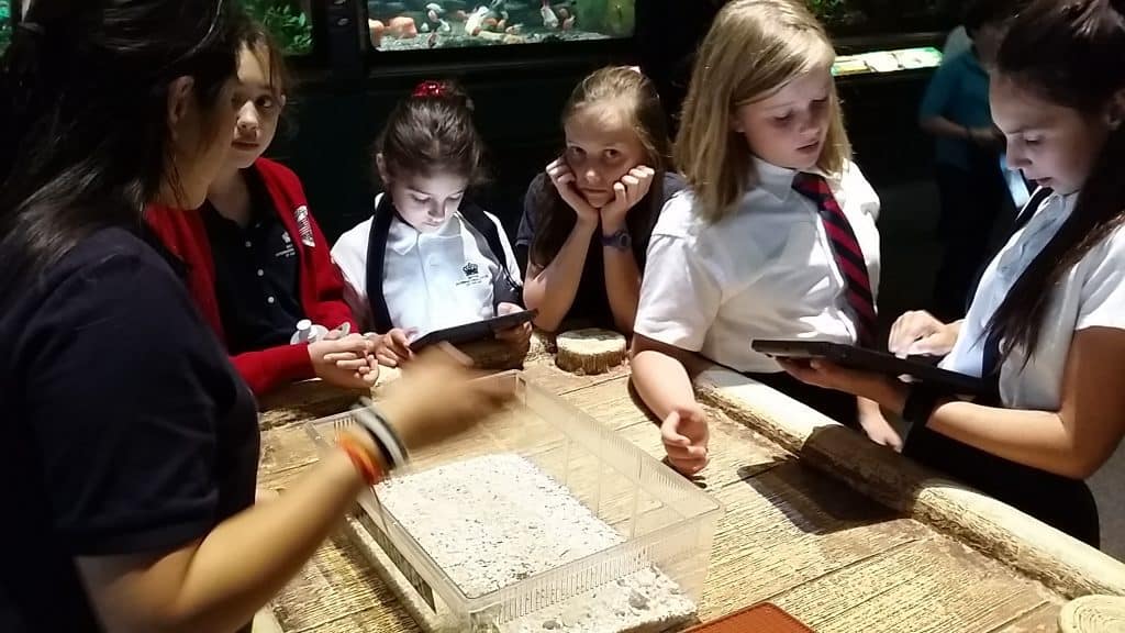 British School of Chicago Students using Science Tech Treks program at Shedd Aquarium