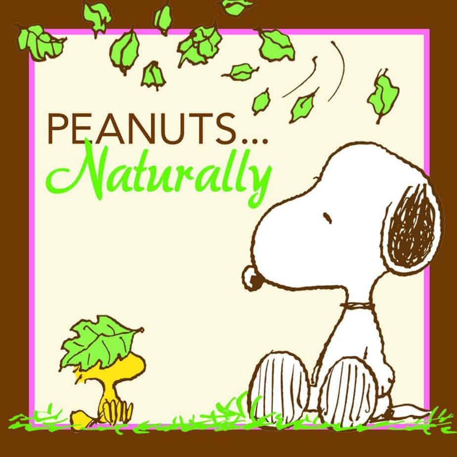 Peanuts...Naturally