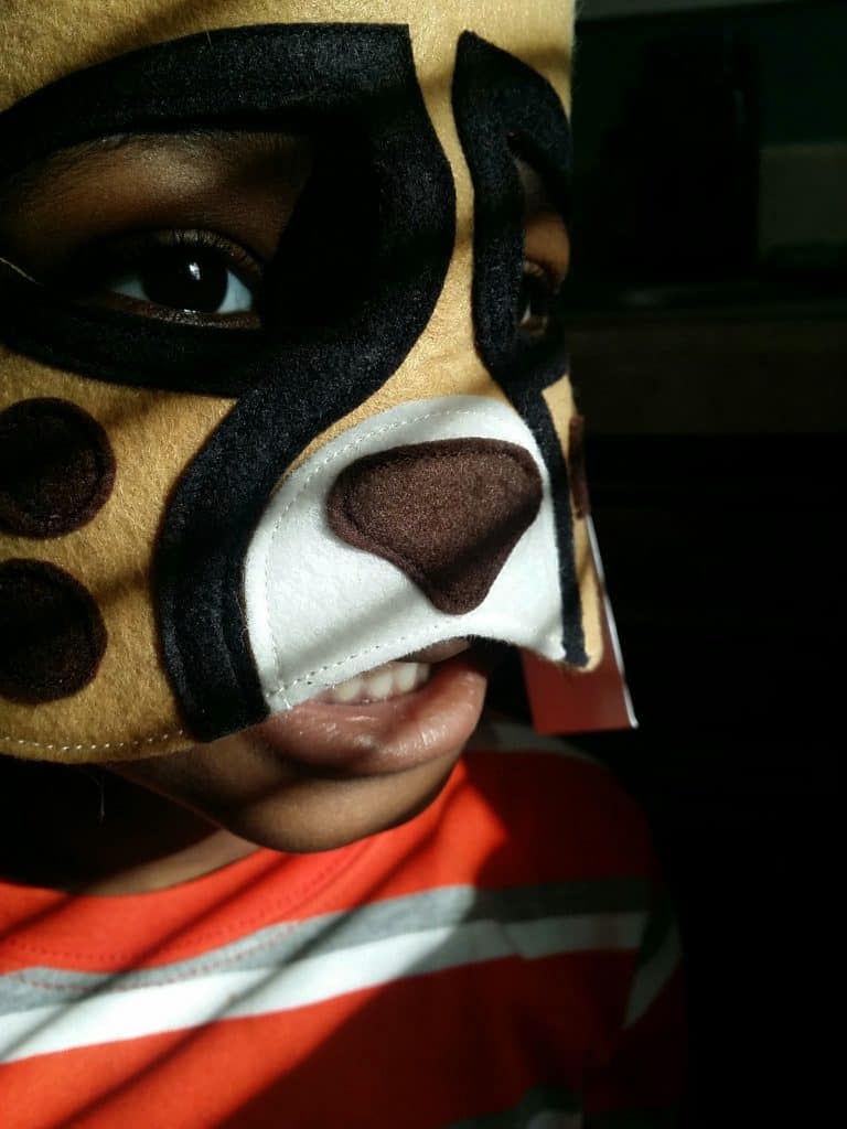 Big Cats Opposite of Fear Mask