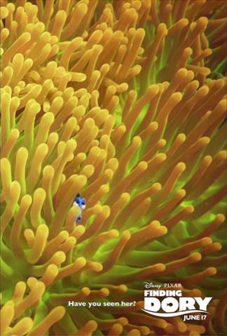 Finding Dory
