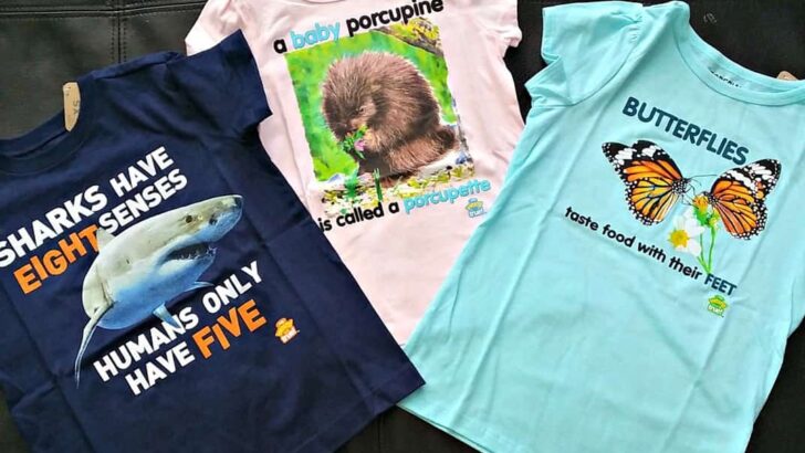 Weird But True Tees at Crazy 8
