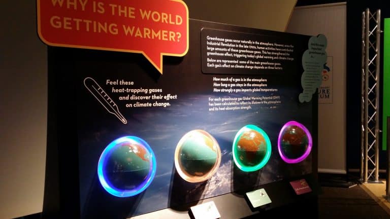 Weather to Climate Our Changing World Exhibit at Peggy Notebaert Nature Museum