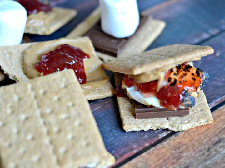 Peanut Butter and Jelly S'mores