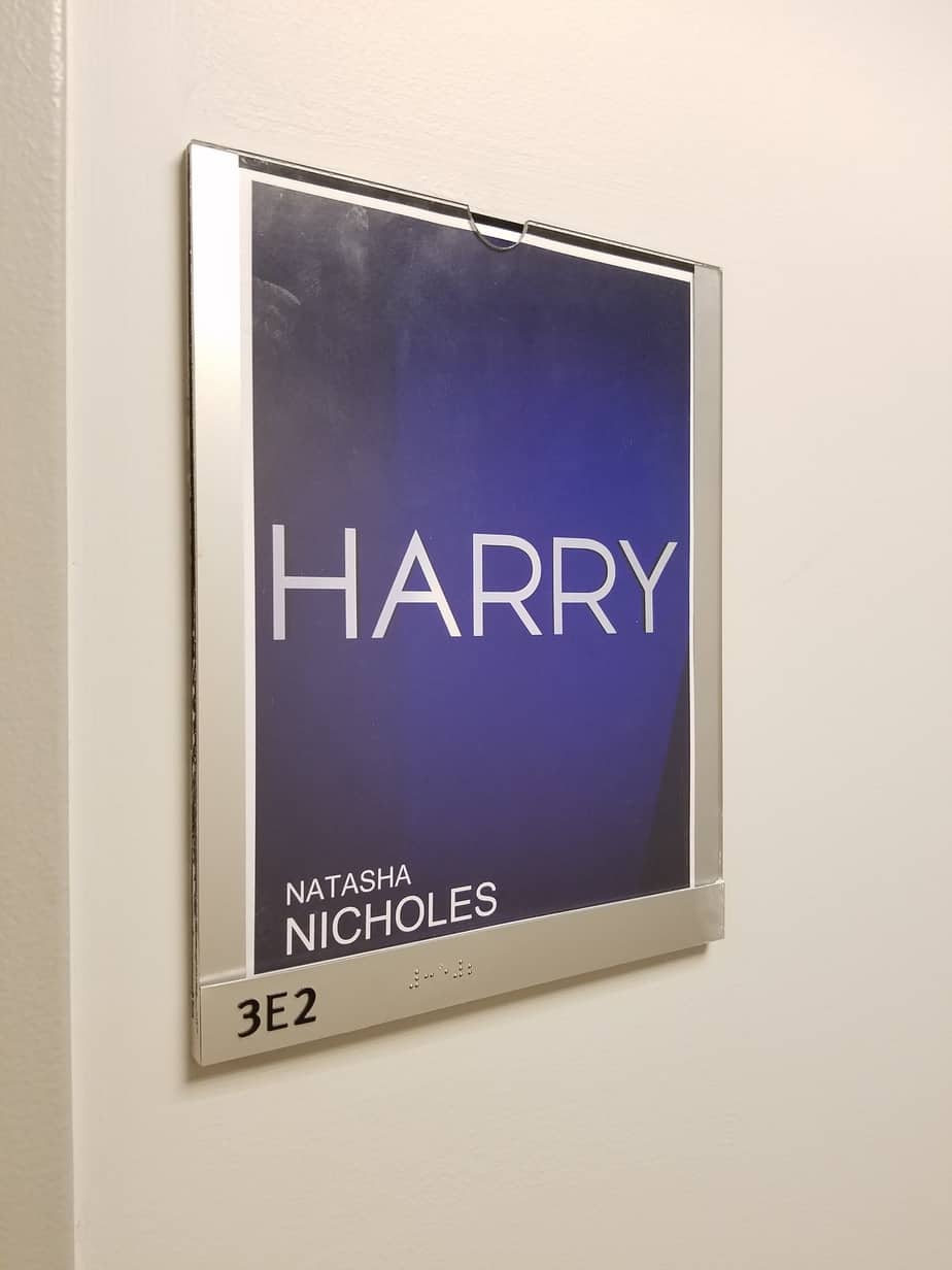 Natasha Nicholes of Houseful of Nicholes on Harry with Harry Connick Jr