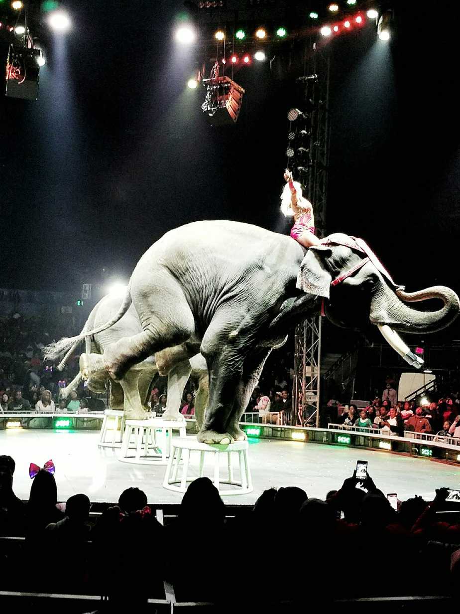 Universoul Circus 