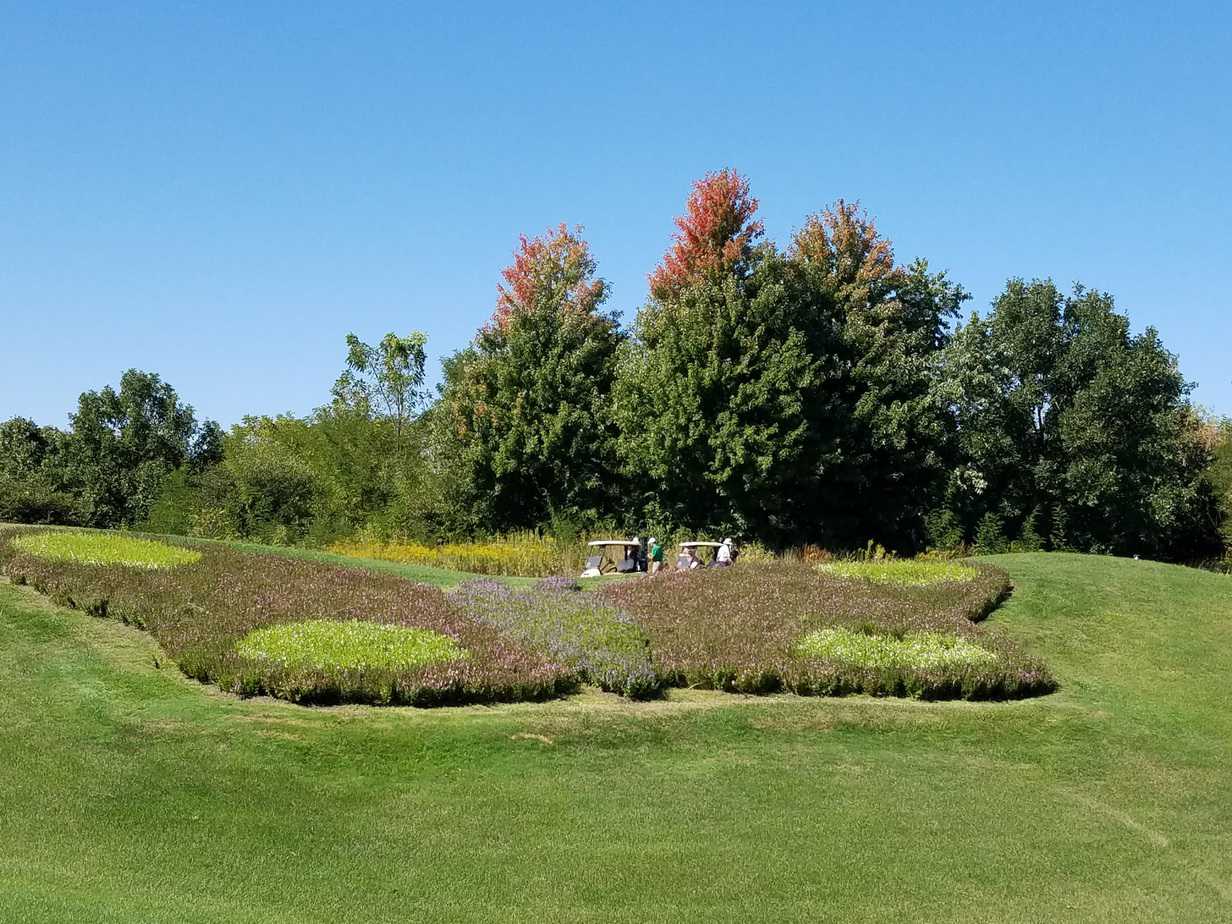 Feed a Bee Experience at Cantigny Golf 
