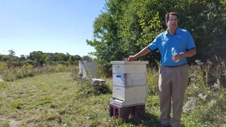 Feed a Bee, Save the Food at Cantigny Golf Course