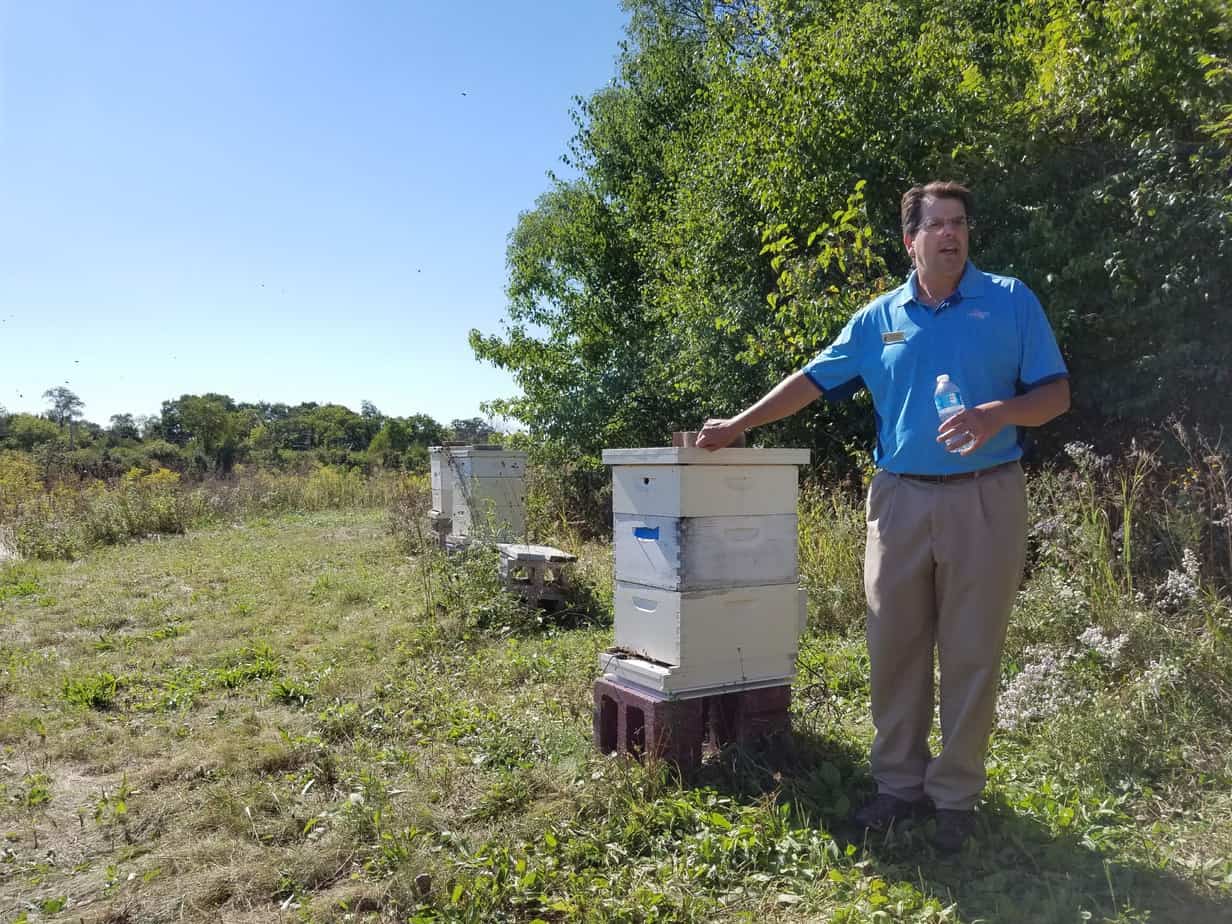 Feed a Bee Experience at Cantigny Golf