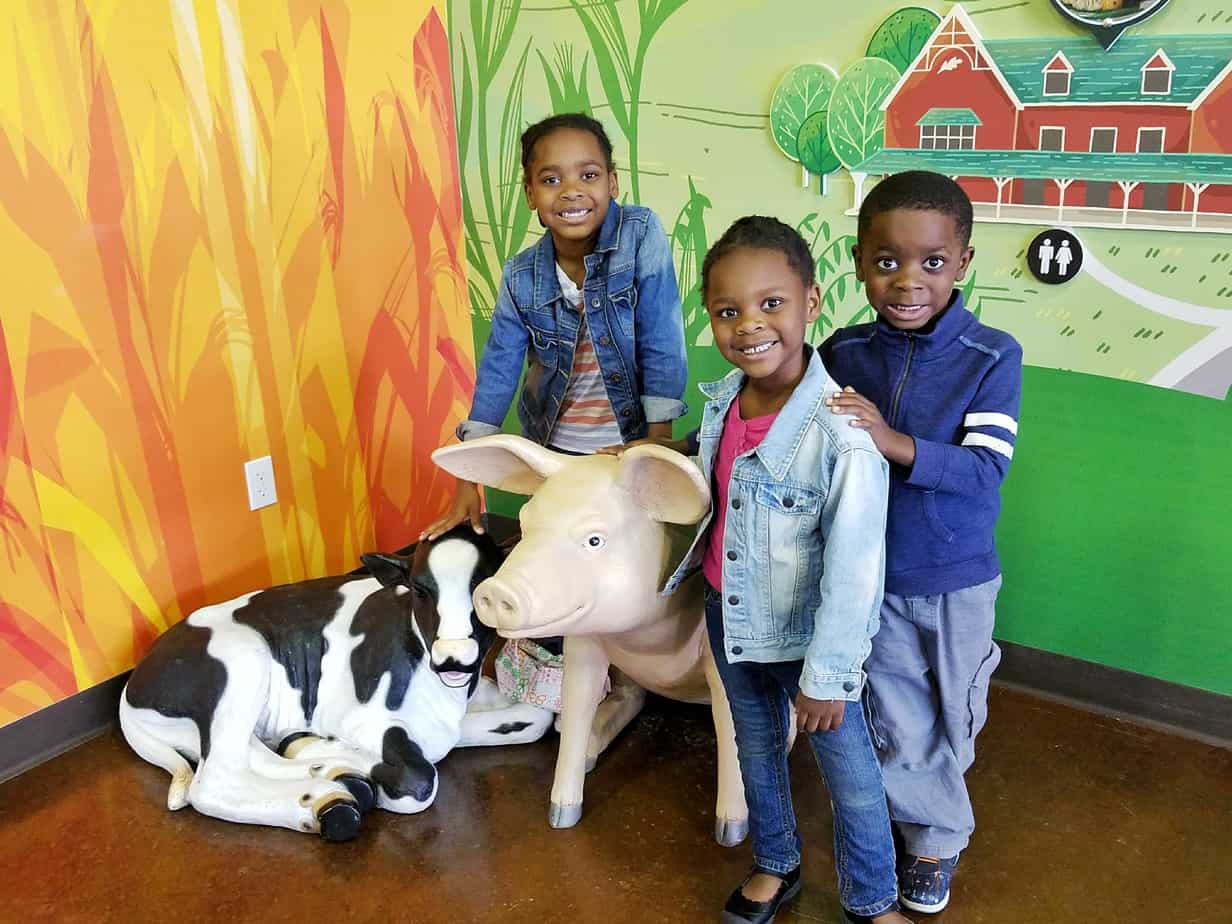 National Pork Month at Fair Oaks Farm 