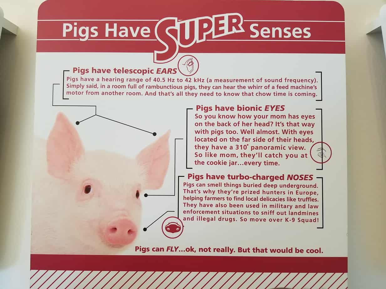 National Pork Month at Fair Oaks Farm 