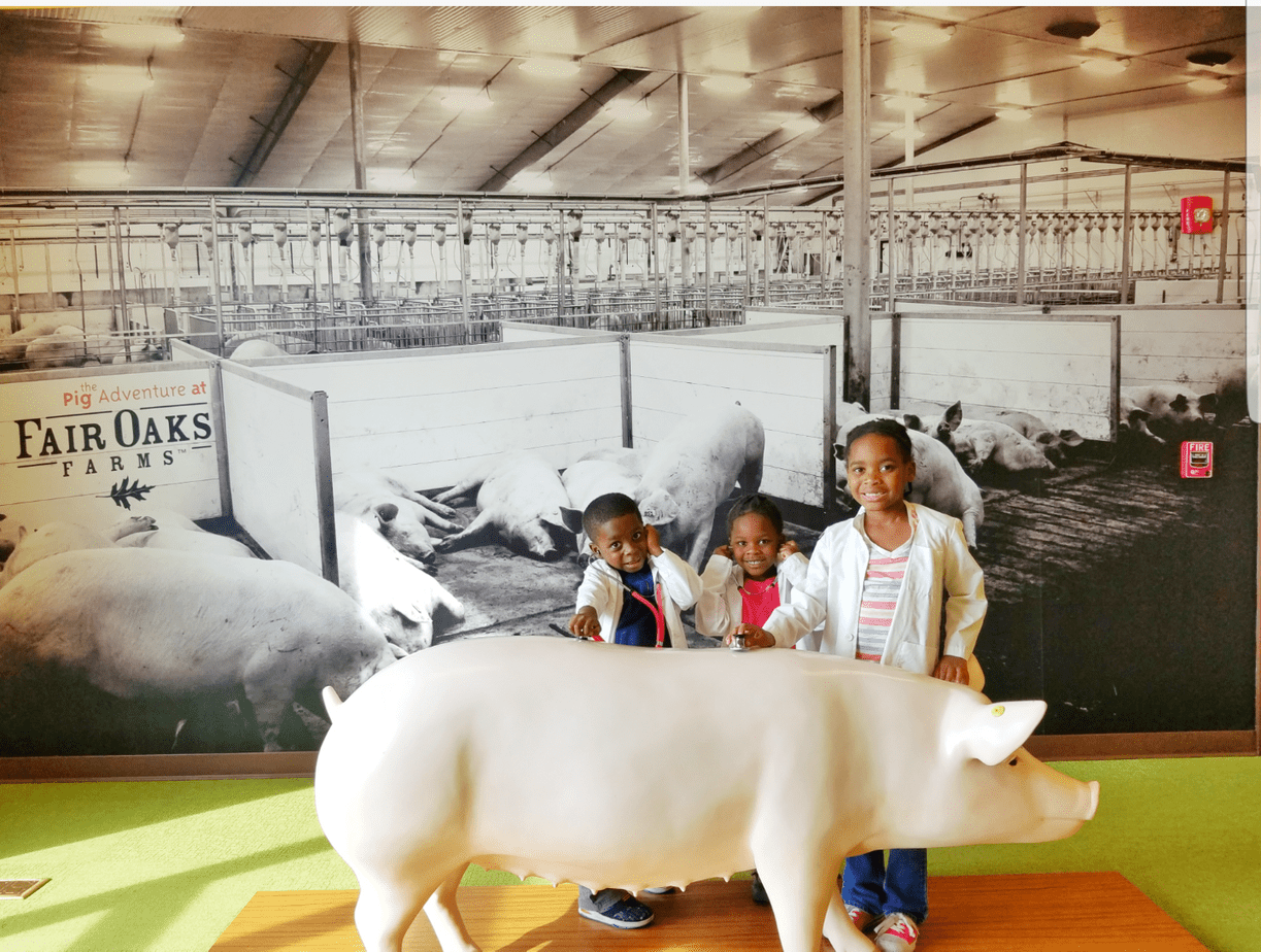National Pork Month at Fair Oaks Farm 
