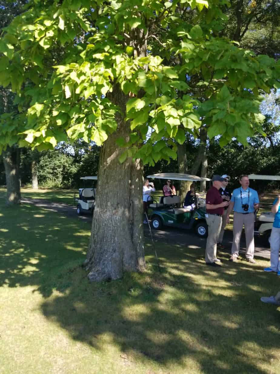 Feed a Bee Experience at Cantigny Golf 