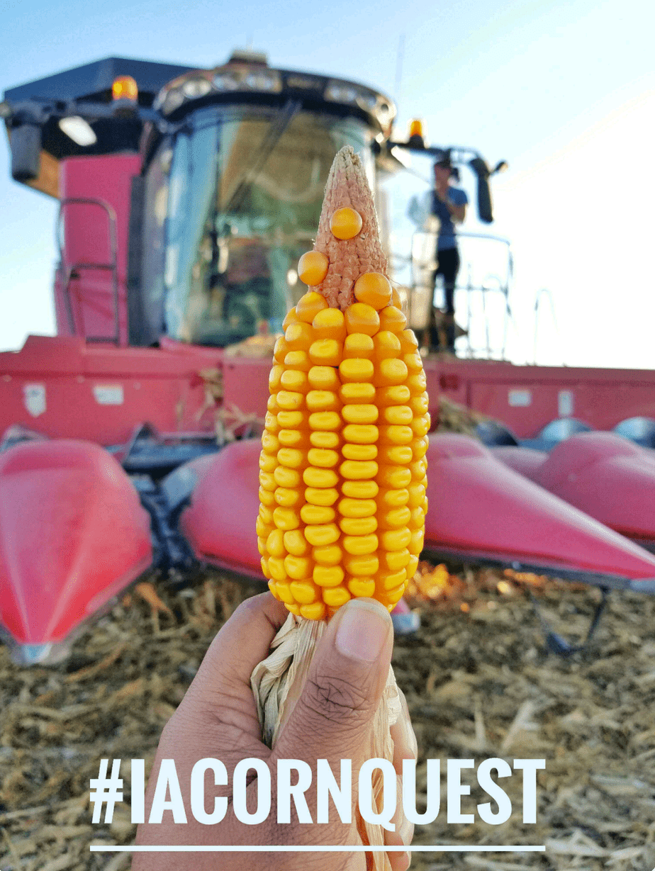 The Iowa Corn Quest 2016