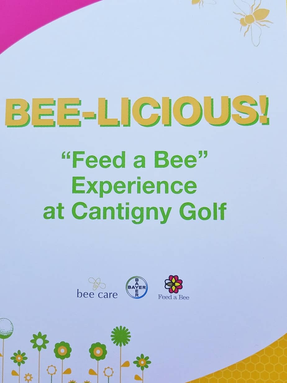 Feed a Bee Experience at Cantigny Golf 