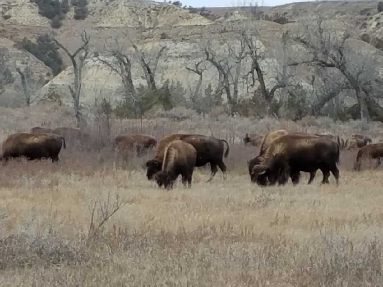 Epic North Dakota Road Trip 