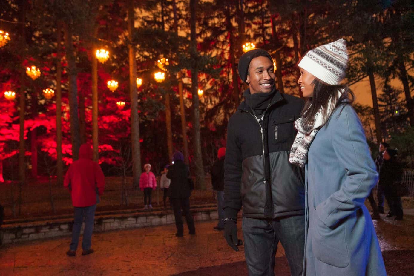 Morton Arboretum Illumination 