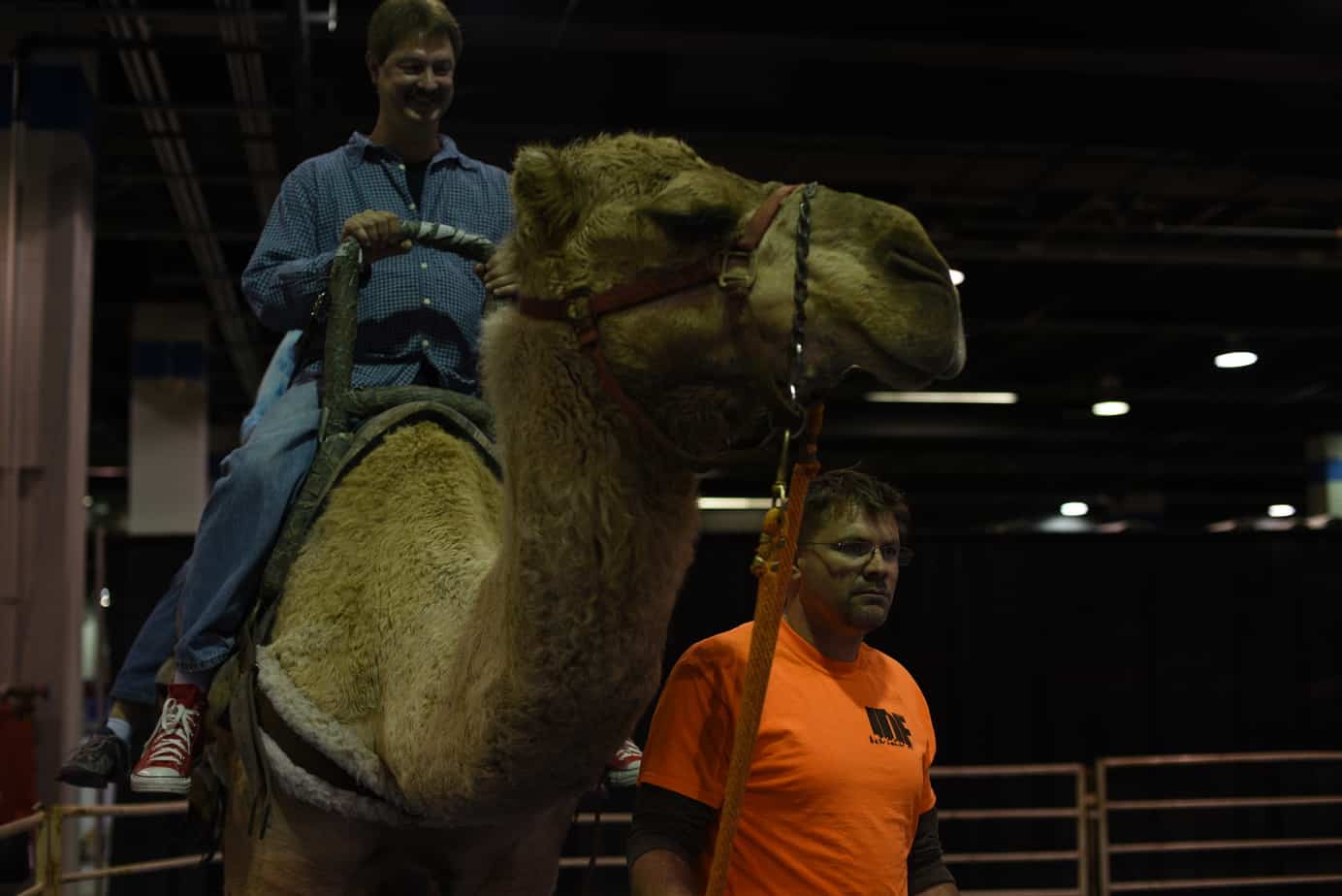 Travel and Adventure Show 