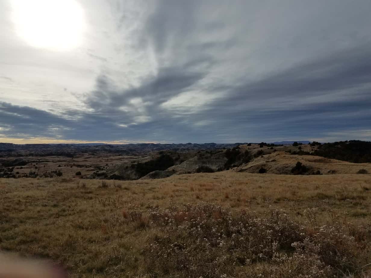 Theodore Roosevelt National Park