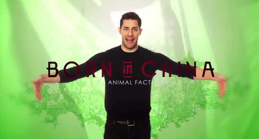 Born In China 
