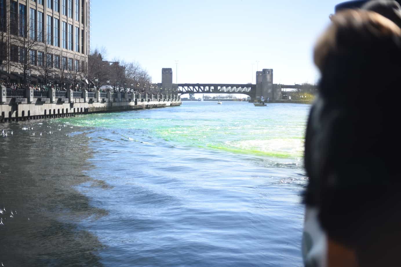 Dyeing the Chicago River Green 