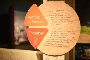 Our House | Peggy Notebaert Nature Museum