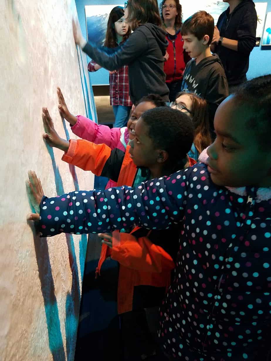 Extreme Ice at Museum Of Science and Industry