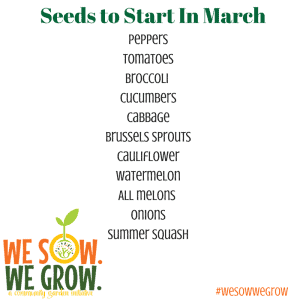 Seeds to Start In March
