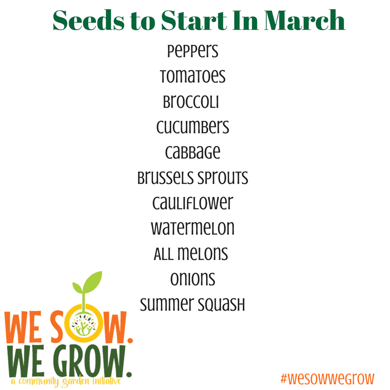 Seeds to Start In March